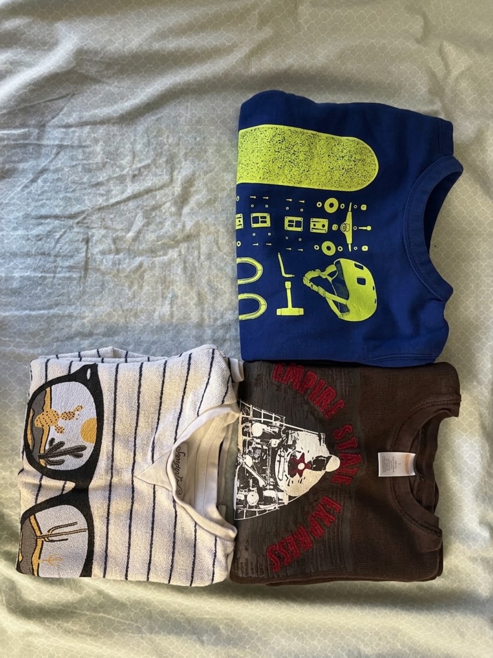 Boys Winter Sweatshirt Bundle - Dino, train, ski, desert design size 5/6 Small